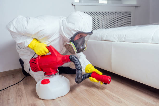 Best Bed Bug Extermination  in Sunset, FL