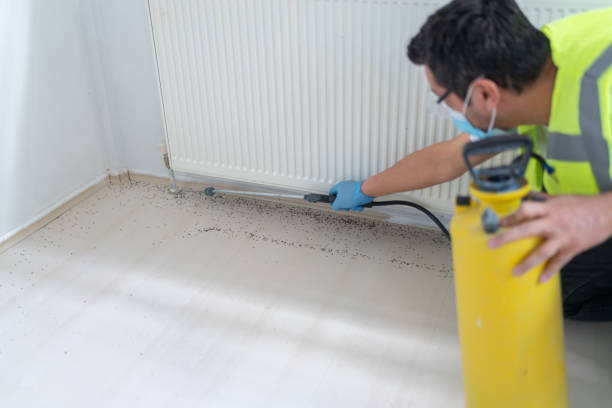 Best Residential Pest Control  in Sunset, FL